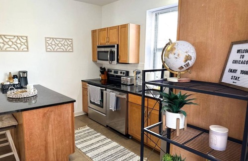 Hyde Park Apartment | Prime Location! 3BRGem near University of Chicago