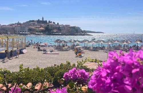 Primosten Apartment | Primosten Resort Sunhill Deluxe Apartment Laura