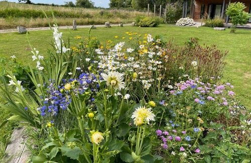 Cannards Grave House | Primrose