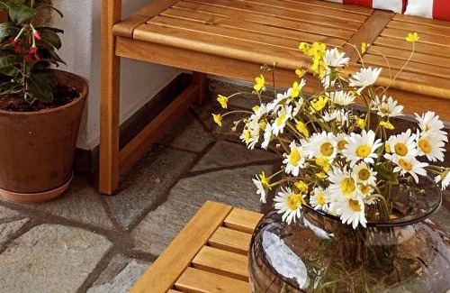 Metsovo House | Primula
