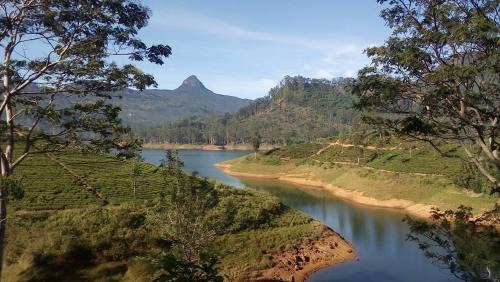 Dickoya House | Princess of Dickoya Homestay
