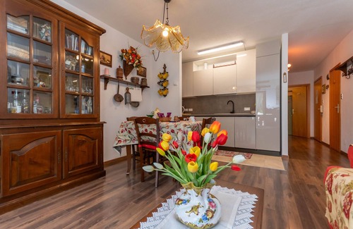 Malga Ciapela Apartment | Principe Marmolada 464/A