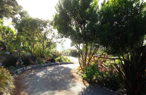 Carmel Highlands House | Pristine Nature & Ocean Views Next To The Highlands Inn In Carmel Highlands