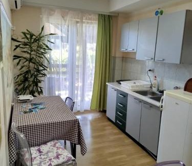 Donji Milanovac House | Privatan smeštaj Velić