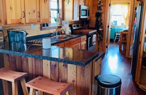 Midlothian Cabin | Private 165 Ac. Retreat with Lake Front Log Cabin