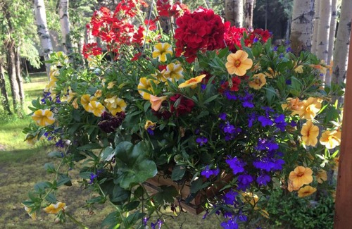 Healy House | Private 3 Bedroom Home Near Denali National Park - Sleeps 10