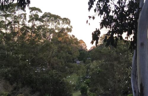 North Maleny House | Private 3-Bedroom House Nestled High Amongst the Trees