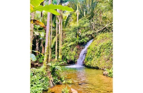 Hakalau Apartment | Private 36 acre parcel on the Hamakua Coast with waterfall, steam room, ice bath