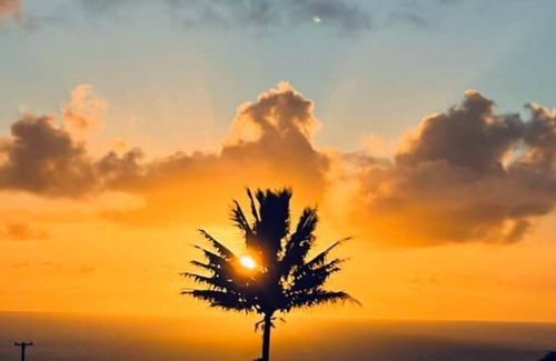 Hakalau Apartment | Private 36 acre parcel on the Hamakua Coast with waterfall, steam room, ice bath