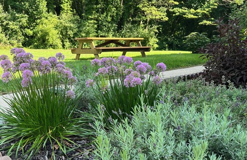 Bridgman House | Private 4 bedroom home in Bridgman offers a cozy retreat & best of town life.