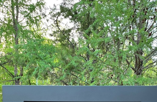 Central Alberta RV Rental | Private Acreage & private pool near AB Beach! Above and beyond exceptional!