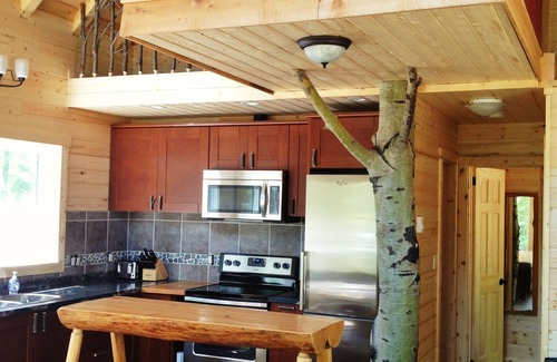 Salmon Arm Ski Chalet | Private and Unique Chalet in the Shuswap- Chalet One