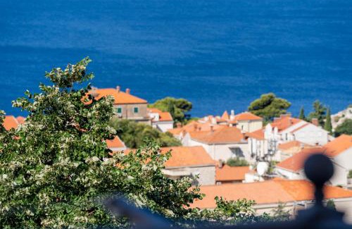 Gornji Kono Apartment | Private apartment with sea view