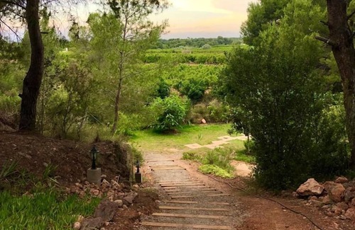 Betera House | Private bungalow in an ecological farm 30 minutes from Valencia and beaches.