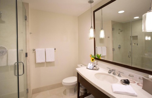 Winter Park Hotel | Private Balcony in Award Winning Hotel, Roof-top Pool, Close to Rollins College