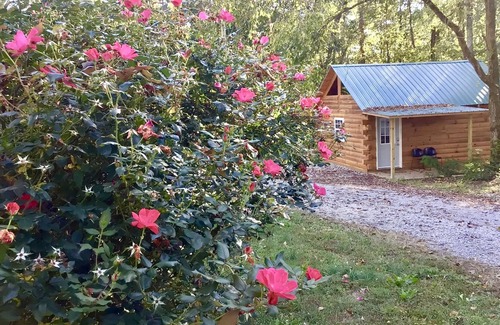 Columbia Cabin | PRIVATE BATHROOM ROMANTIC GETAWAY