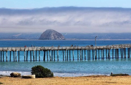 Cayucos House | Private Bedroom and Bathroom
