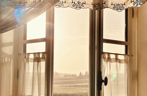 Saint-Germain-de-Vibrac House | Private Country house surrounded by vines, with a private pool. Up to 20 people
