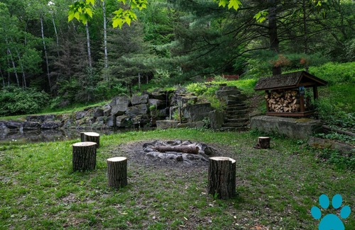 Prattsburgh Cabin | Private cabin and waterfall nestled among the hills!