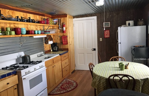 Antonito Cabin | Private Cabin on the Conejos River, Pet Friendly, Sleeps 5