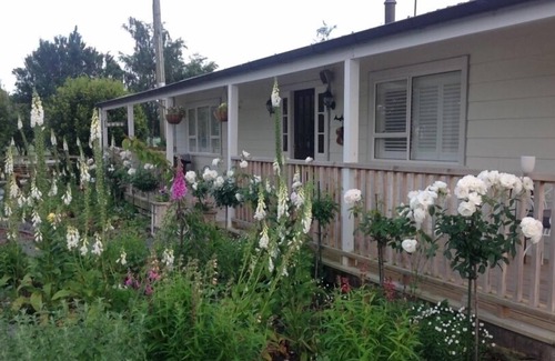 Greytown Cottage | Private Cottage surrounded by farm land.
