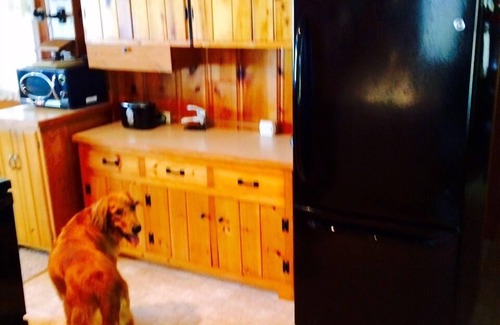 Kewadin Cottage | Private, Cozy Cottage On Torch Lake!