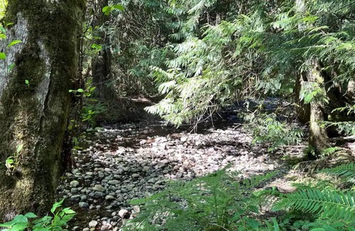 Regional District of Nanaimo Other | Private Creekside Cabin minutes from Parksville
