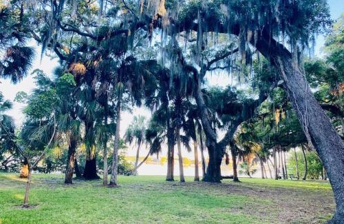 St. Petersburg - Clearwater House | Private, Family Friendly Home, 10 min to Beach
