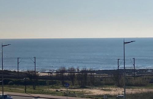 Sao Felix Da Marinha Apartment | Private front beach apartment with pool