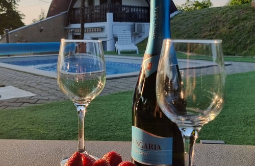 Balatonkiliti House | private holiday home for 8-10 people, pool, air conditioning,