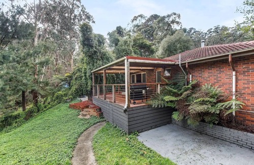 Cockatoo House | Private Holiday Home With Rain Forest Creek View
