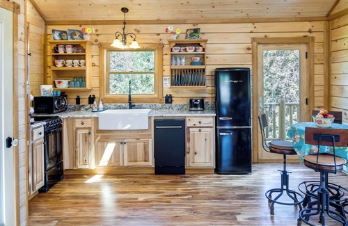 Green Valley Cabin | Private Hot Tub & Pond: Conifer Log Cabin