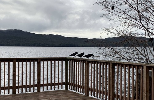 Ketchikan House | Private house connected to Potlatch Totem Park extreme ocean view. Premium Hostn