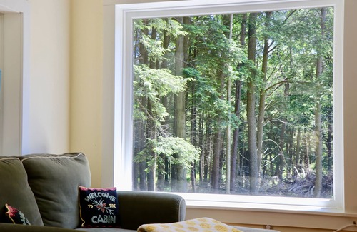 Delhi Cottage | Private Lake at Rippling Waters One Room Cabin