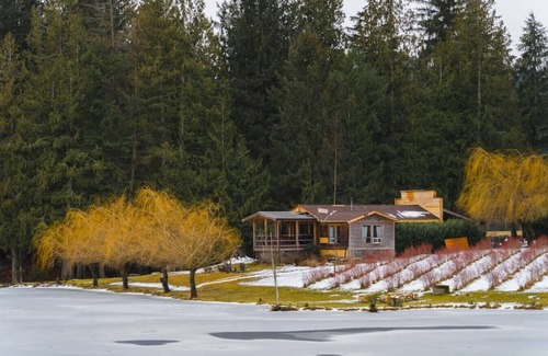 Sardis Cabin | Private Lake Front Cabin for 4