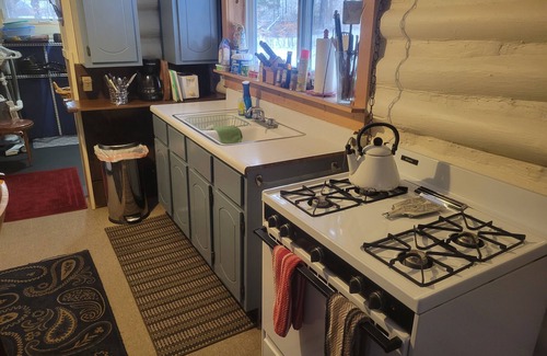 Alden Cabin | Private Log Cabin, 4 min walk to Torch Lake
