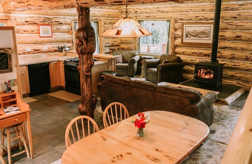 Primrose Cabin | Private Log Home on Kenai Lake!