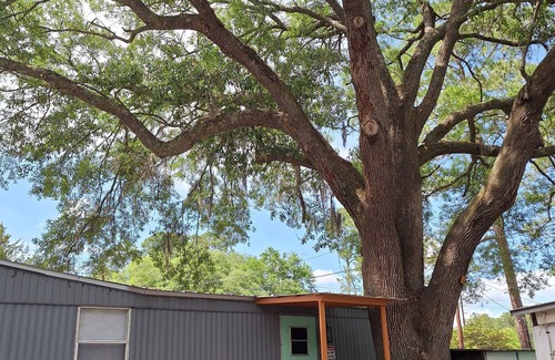 Hinesville House | Private manufactured studio designed to accommodate single individual or couple.