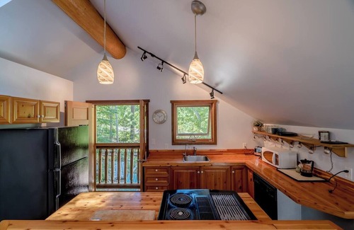 Mount Currie Cabin | Private Mountain Detached Loft.