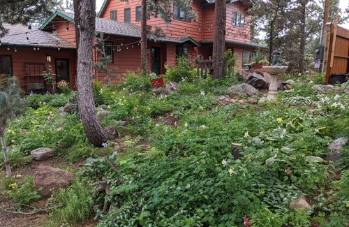 Allenspark House | Private Mountain Tranquility for large families near Rocky Mountain National Pk!