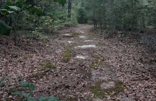 Cordova RV Rental | Private Nature Oriented Campground