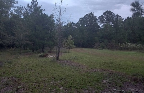 Cordova RV Rental | Private Nature Oriented Campground