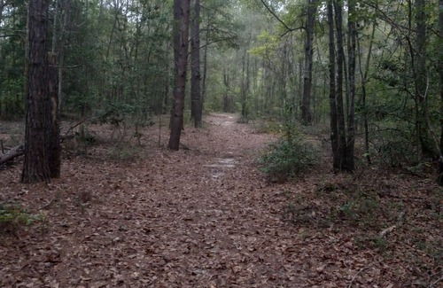 Cordova RV Rental | Private Nature Oriented Campground