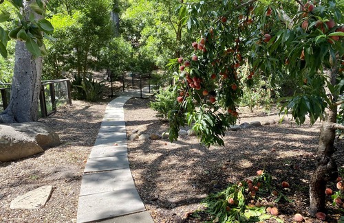 Montecito House | Private oak tree bungalow in the heart of Montecito!