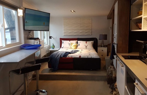 Beachcomber Apartment | Private Oceanfront Studio with amazing mountain views!