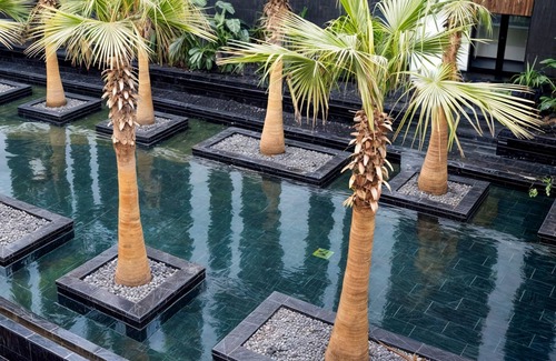 Ain Zaghouan Apartment | Private Paradise with Gym & Pool: A Luxurious Escape in Les Jardins de Carthage