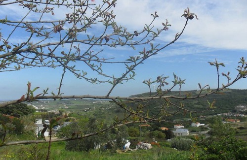 Arruda dos Vinhos Resort | Private room ∙ 1 guest