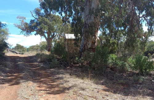 Booleroo Centre House | PRIVATE, REMOTE, SECLUDED COUNTRY HOMESTEAD PETS WELCOME! - BOOLEROO CENTRE