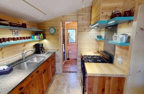 Indian River Cabin | Private River Frontage Cabin! 🌲🚣‍♂️ Paddle, Float, and Relax to Burt Lake!