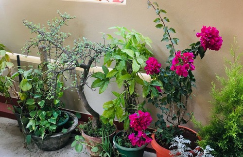 Bengaluru House | Private room in a bungalow